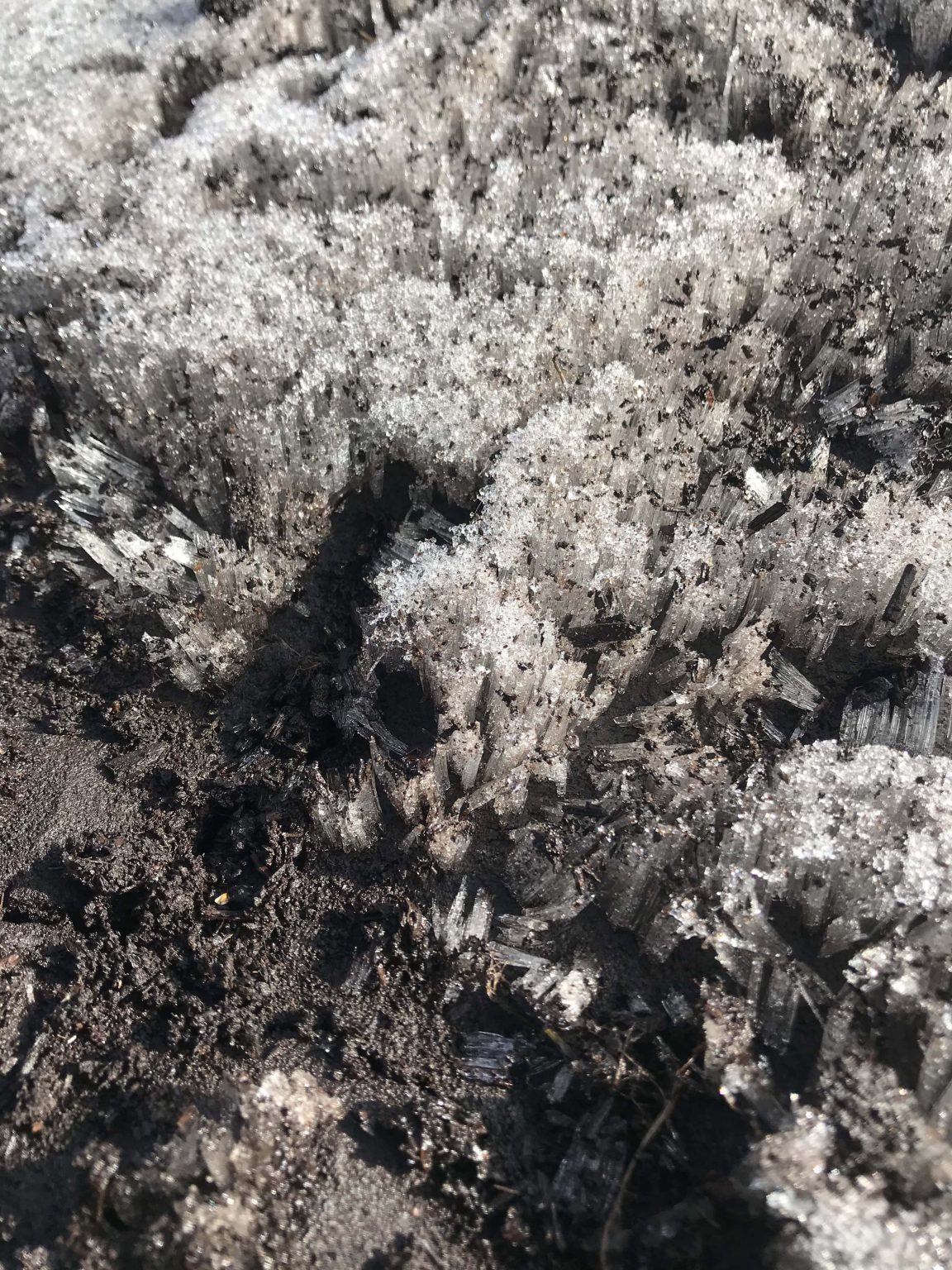 Canadian Journal of Soil Science Photo Contest Winner – CSSS